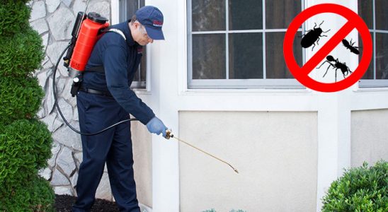 Özalp Gümüşkurt İlaçlama böcek ilaçlama ve haşere kontrolü — ilaclama-tr.com